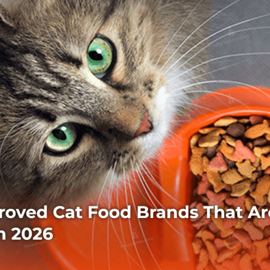7 Vet-Approved Cat Food Brands That Are Actually Worth It in 2026