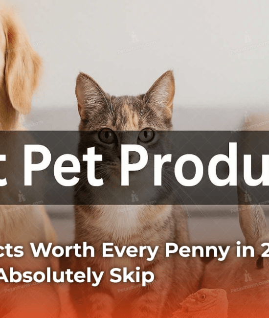 9-pet-products-worth-every-penny-in-2026-and-4-you-should-absolutely-skip