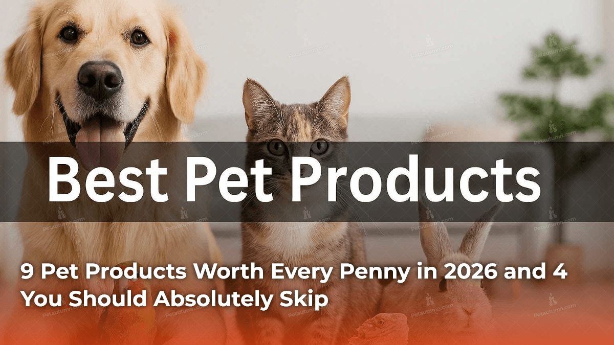 9-pet-products-worth-every-penny-in-2026-and-4-you-should-absolutely-skip