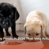 Best Puppy Foods in 2026 That Vets Actually Recommend