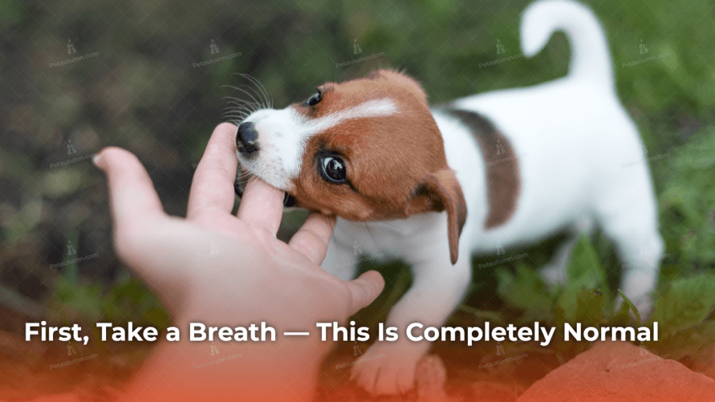 First, Take a Breath — This Is Completely Normal