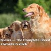 Golden Retriever — The Complete Breed Guide for First-Time Owners in 2026