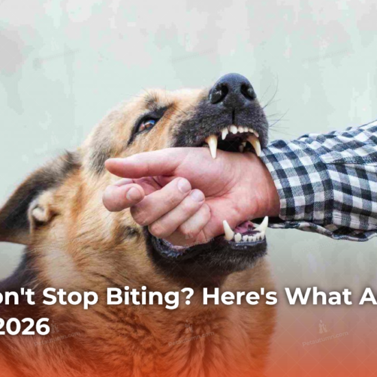 Puppy Won't Stop Biting? Here's What Actually Works in 2026