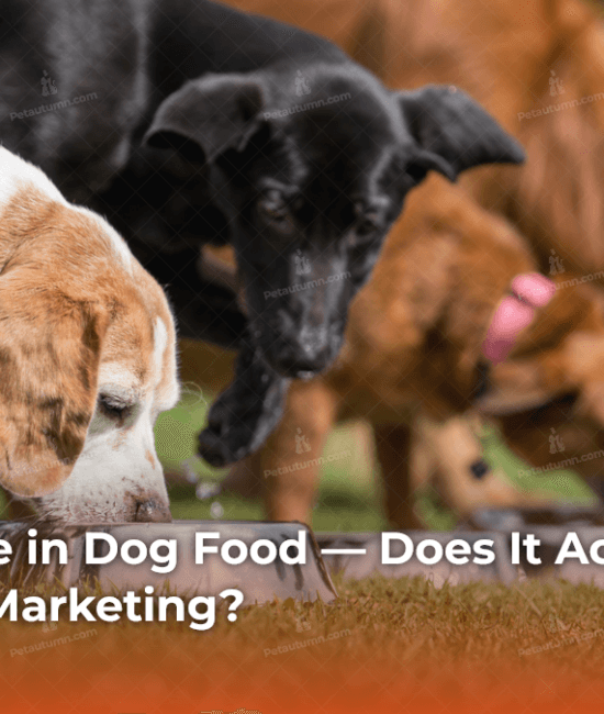glucosamine-in-dog-food-does-it-actually-work-or-is-it-just-marketing