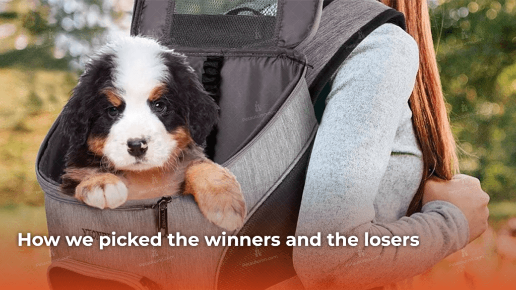 how-we-picked-the-winners-and-the-losers