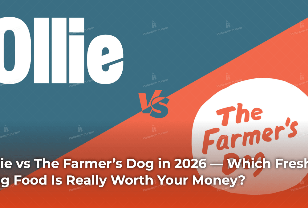 ollie-vs-the-farmers-dog-in-2026-which-fresh-dog-food-is-really-worth-your-money