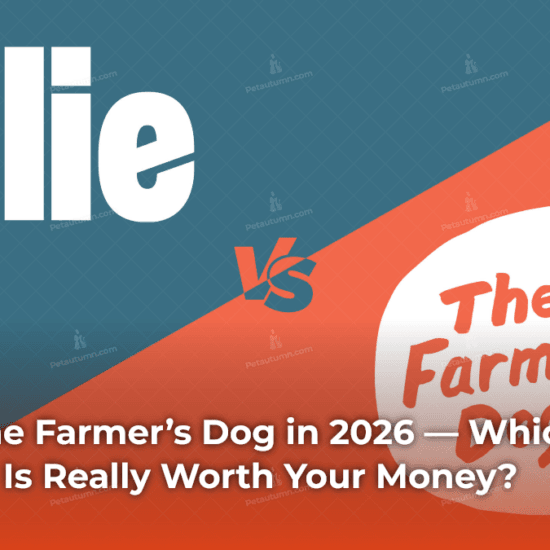 ollie-vs-the-farmers-dog-in-2026-which-fresh-dog-food-is-really-worth-your-money