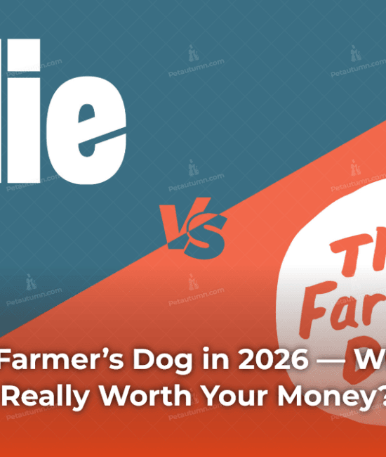 ollie-vs-the-farmers-dog-in-2026-which-fresh-dog-food-is-really-worth-your-money