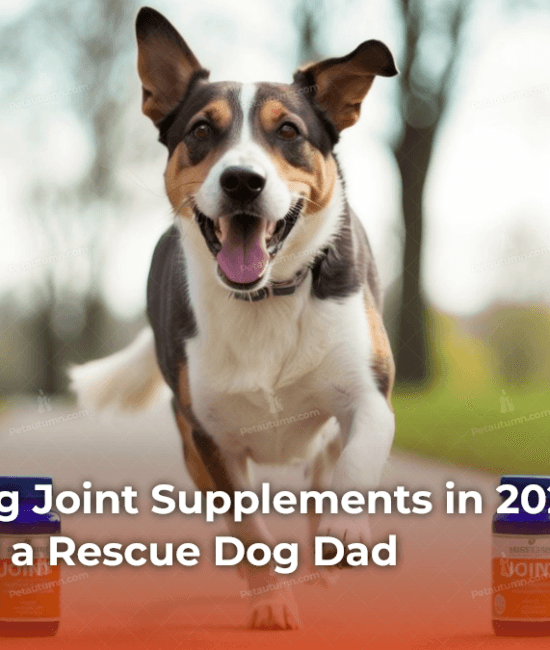 the-best-dog-joint-supplements-in-2026-ranked-by-a-vet-and-a-rescue-dog-dad