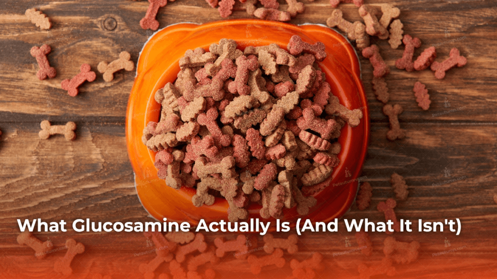 what-glucosamine-actually-is-and-what-it-isnt