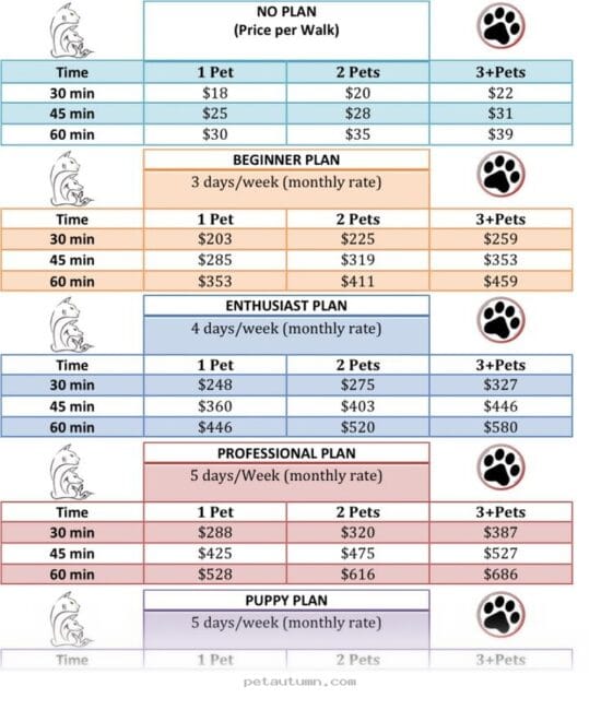 Average 2026 Prices for Professional Dog Walking Services in the US