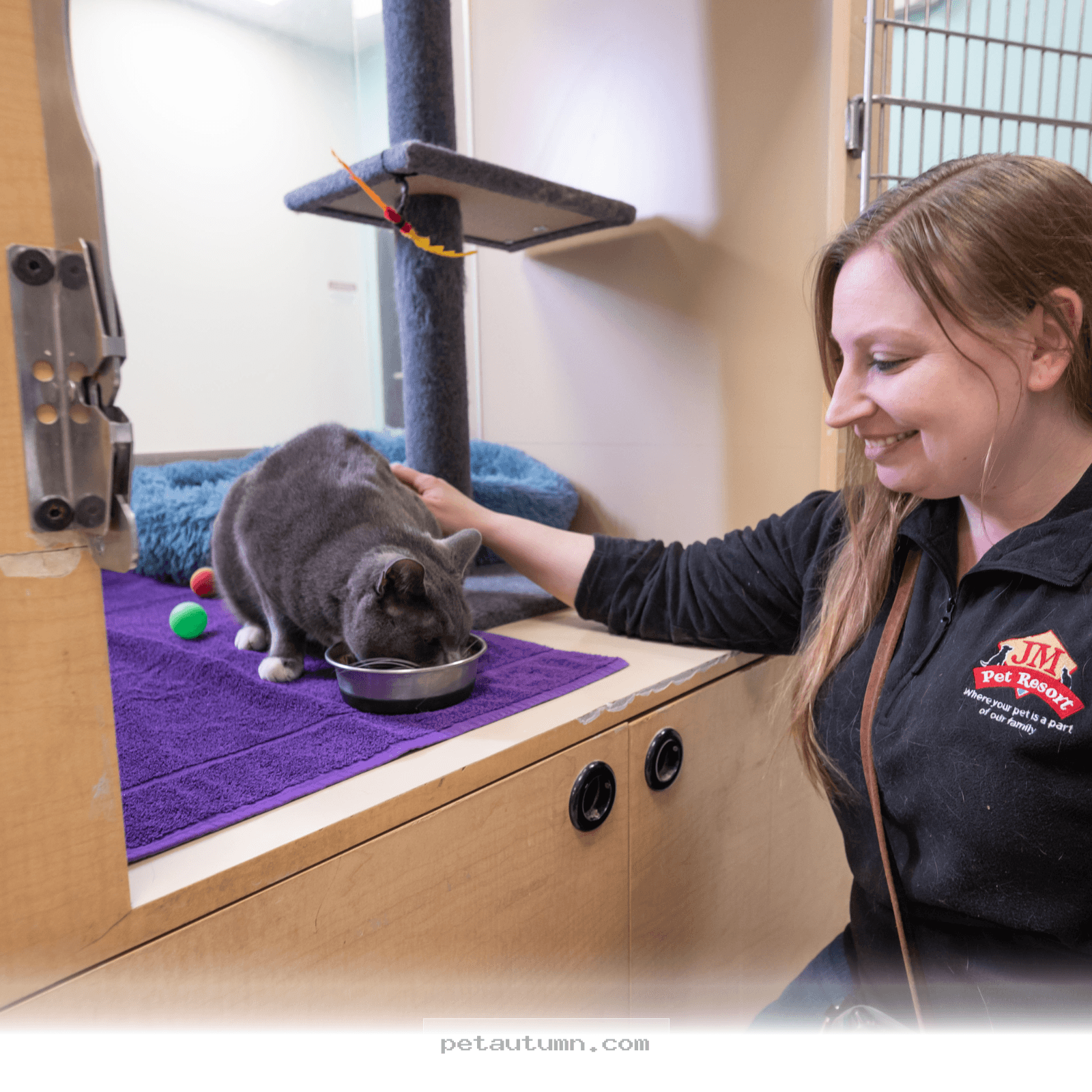 Average 2026 Prices for Quality Cat Boarding Services in Riverside CA