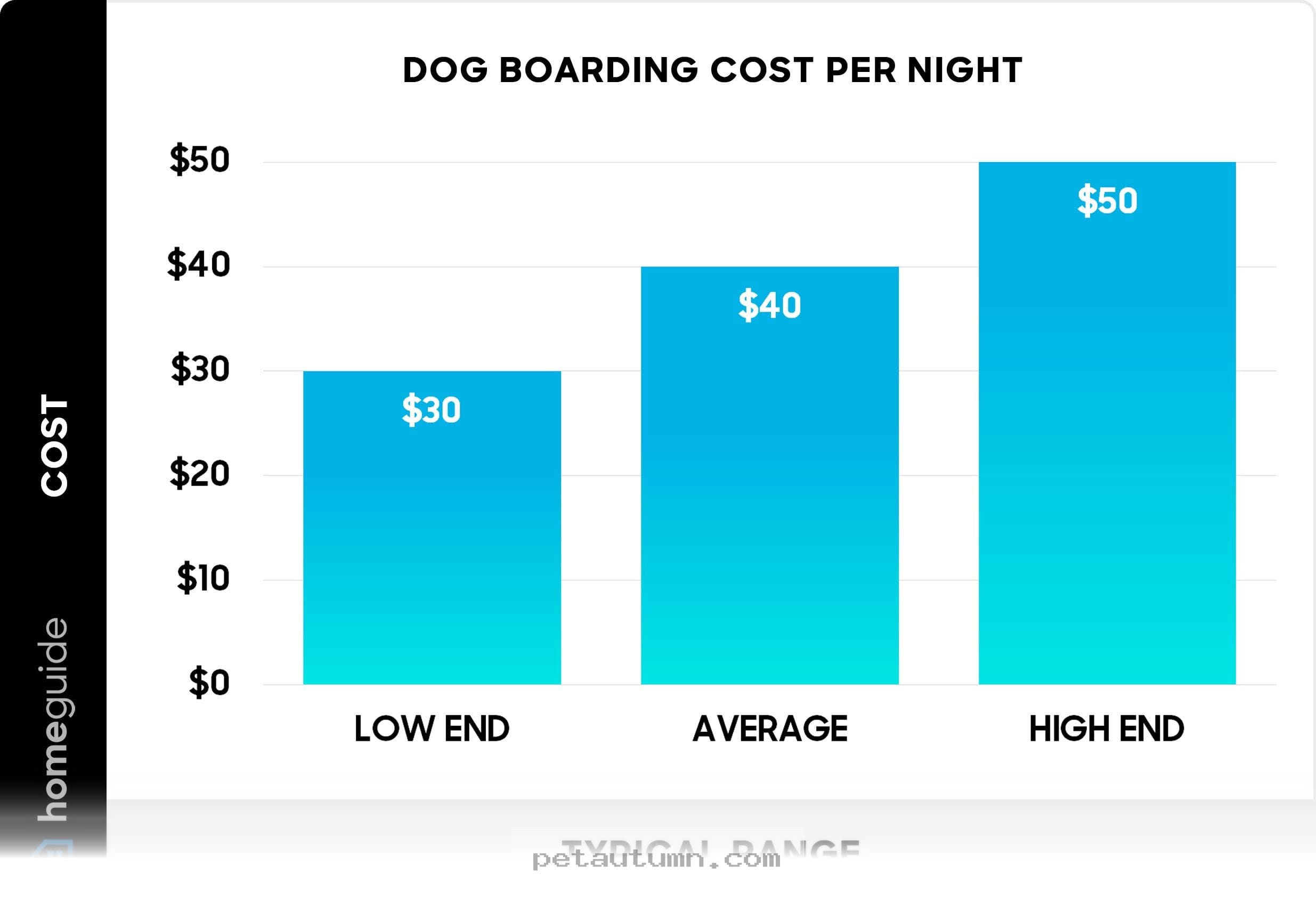 Budgeting for 2026 Dog Boarding Services in Aurora for Your Pet