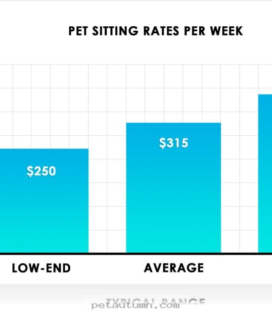 Budgeting for 2026 Pet House Sitting Services in Lincoln Nebraska
