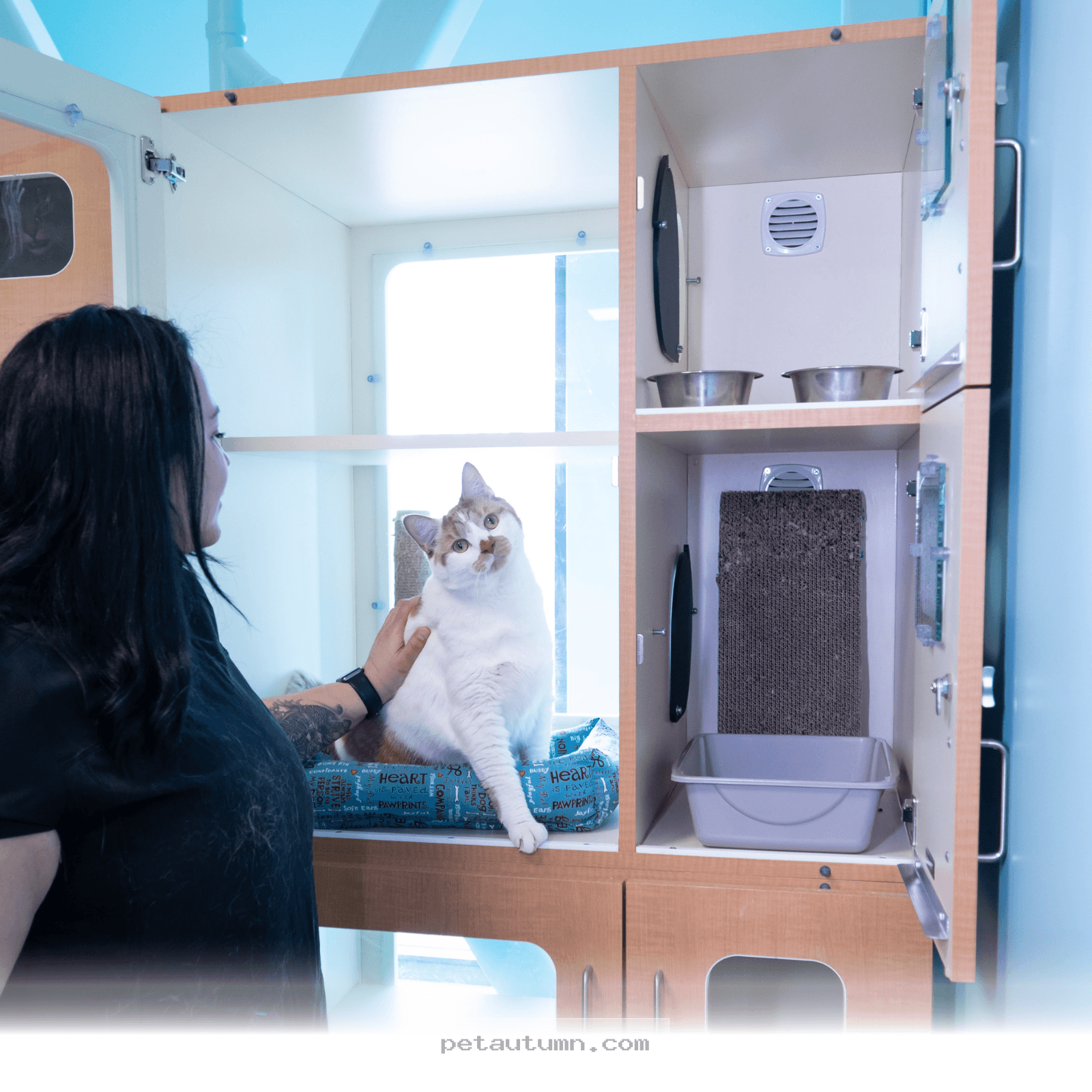 Budgeting for Your Kitty 5 Essential Cat Boarding Price Tips for 2026