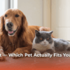 dog-vs-cat-which-pet-actually-fits-your-life-in-2026