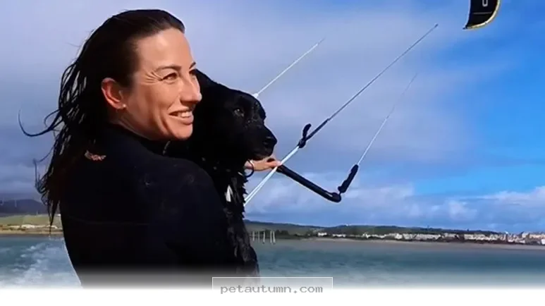 Fun Ways to Enjoy Adventure Sports With Your Dog in 2026