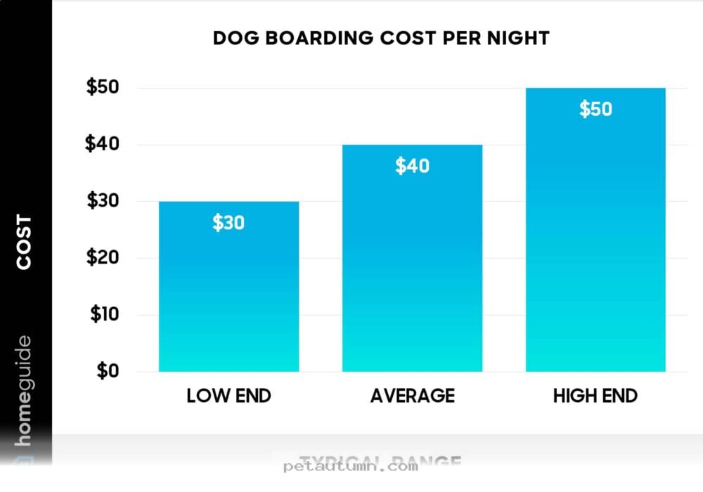 Guide to Average Dog Boarding Prices for Akron Pet Parents