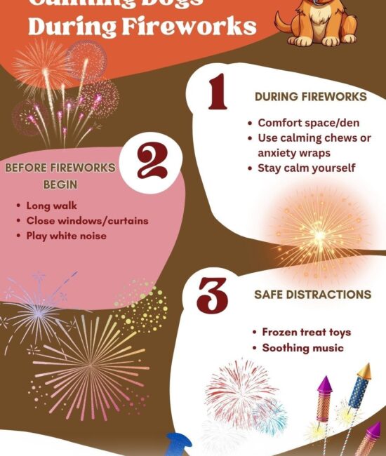 Help Your Dog Stay Calm During the 2026 Fireworks Season With 10 Ideas