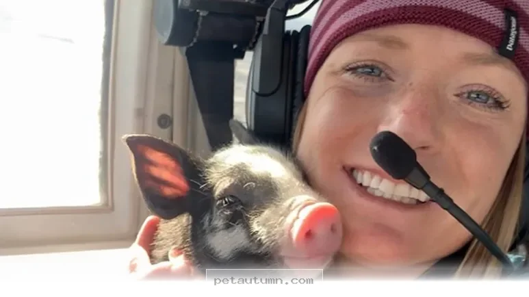 How 1 Brave Little Pig Defied All Expectations for a Happy 2026 Life