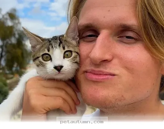 How 1 Special Rescue Kitten Transformed Our Family Life in 2026