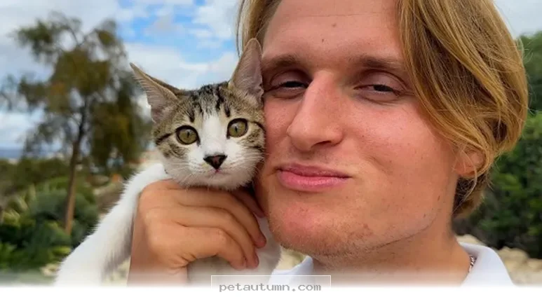 How 1 Special Rescue Kitten Transformed Our Family Life in 2026