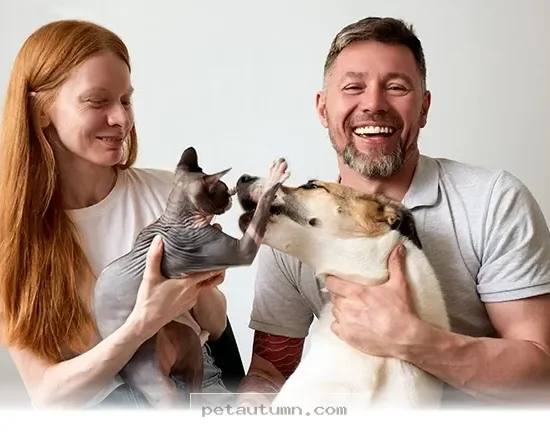 How 5 Key Trends Are Reshaping Modern Pet Ownership in 2026