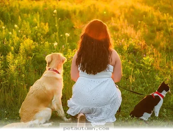 How 5 Ways Your Pet Improves Your Mental and Physical Health in 2026