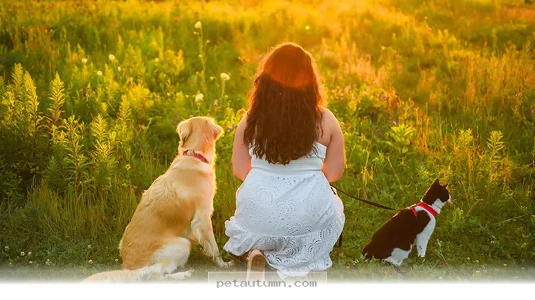 How 5 Ways Your Pet Improves Your Mental and Physical Health in 2026