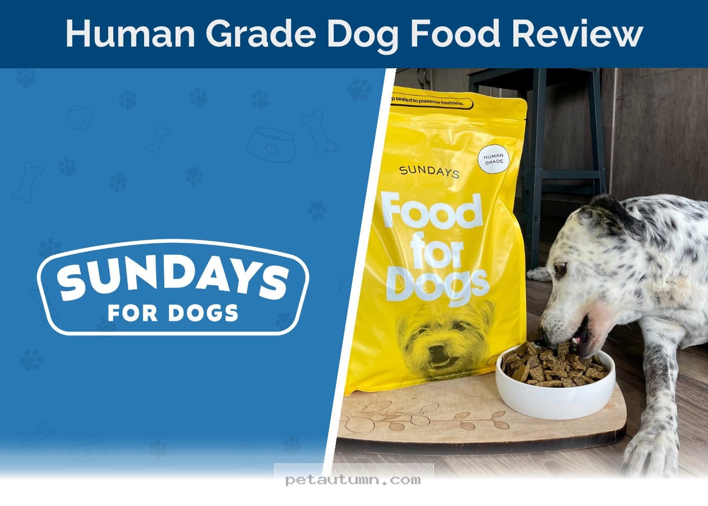 Is Sundays for Dogs Beef Food a Healthy Choice for Your Pup in 2026