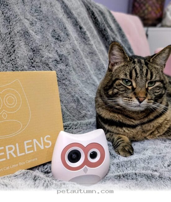 Is the SiiPet LitterLens Worth It for Your Cat in 2026 Vet Insights