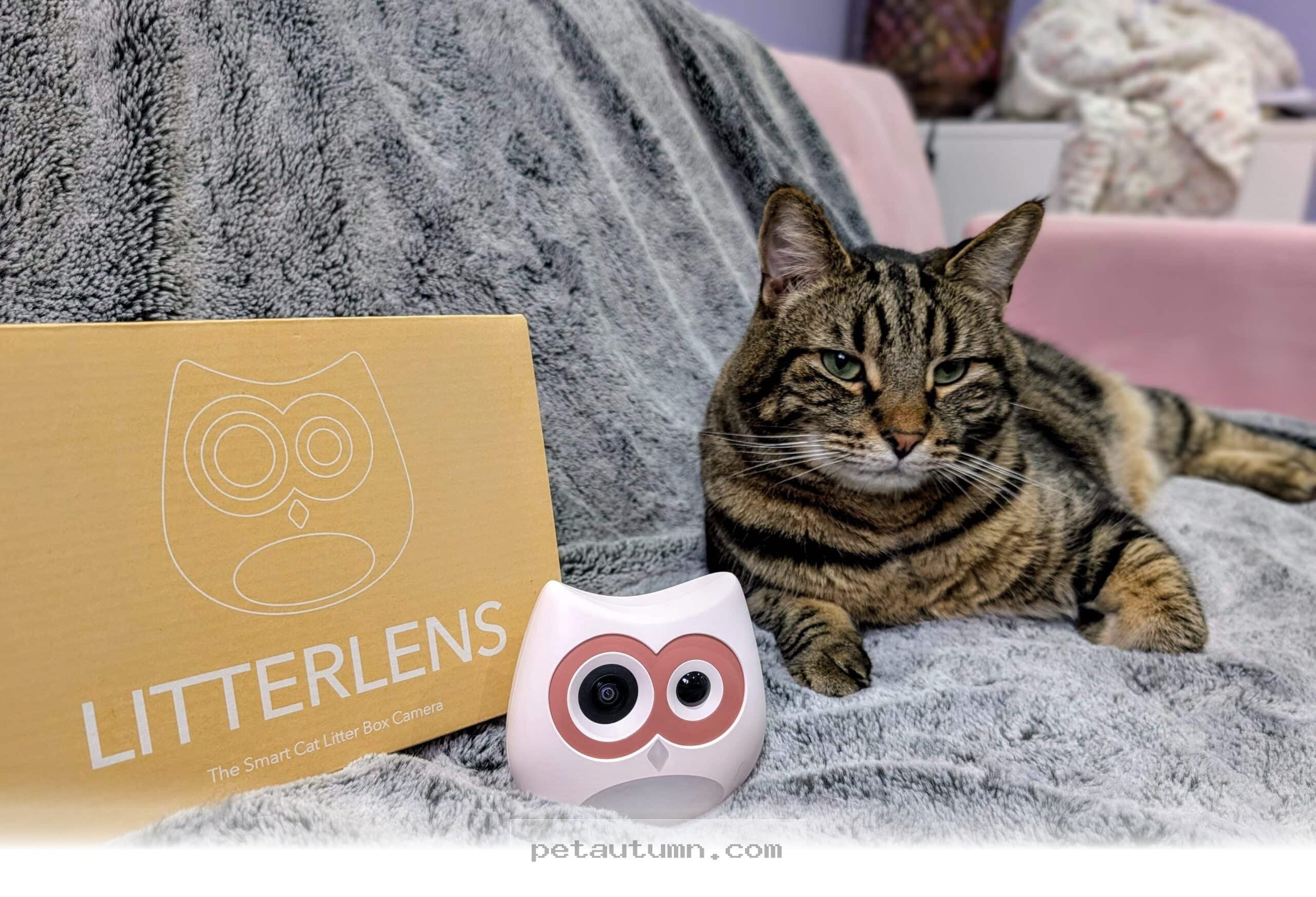Is the SiiPet LitterLens Worth It for Your Cat in 2026 Vet Insights