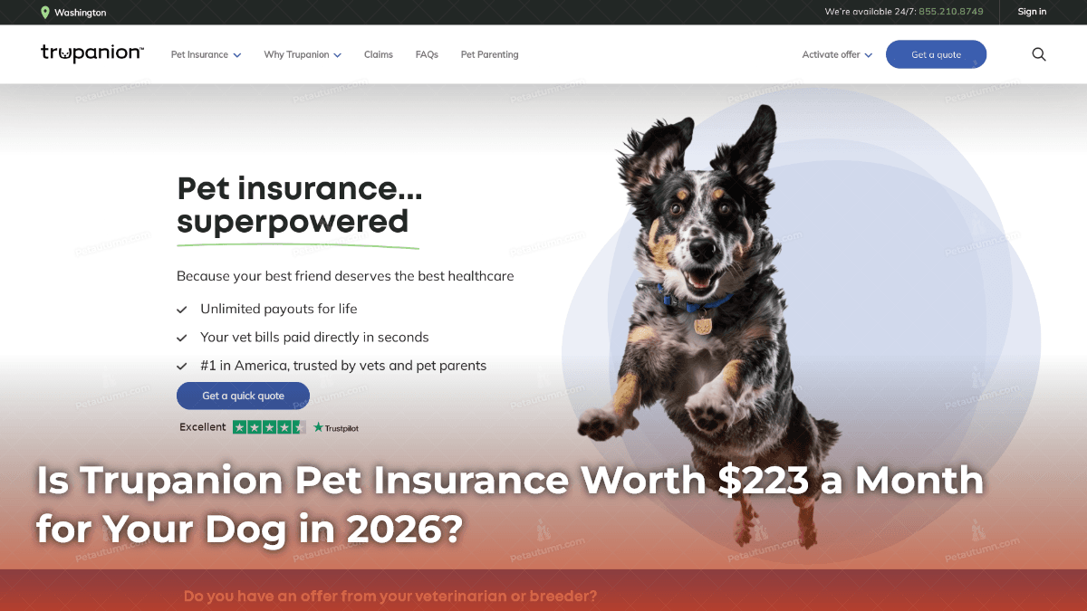 is-trupanion-pet-insurance-worth-223-a-month-for-your-dog-in-2026