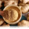 Natural Ways to Calm Your Pet's Digestion in 2026 With 1 Easy Herb