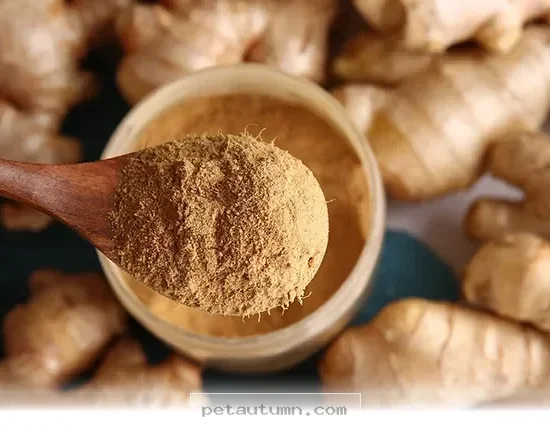 Natural Ways to Calm Your Pet's Digestion in 2026 With 1 Easy Herb