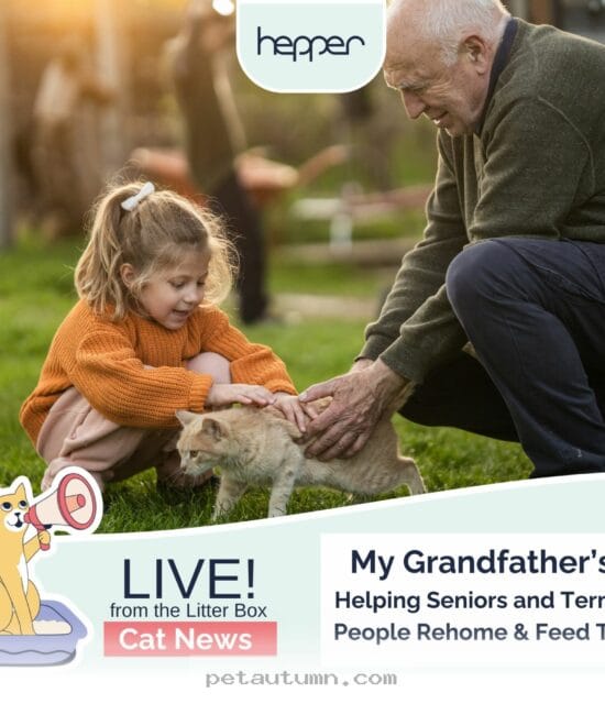Support for Senior Pet Owners and Their Beloved Companions in 2026