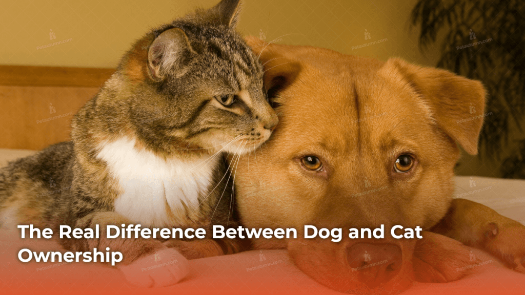 the-real-difference-between-dog-and-cat-ownership