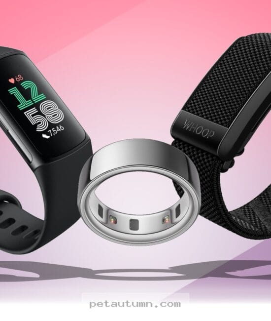 Top 7 Fitness Trackers To Keep Your Miniature Pinscher Active In 2026