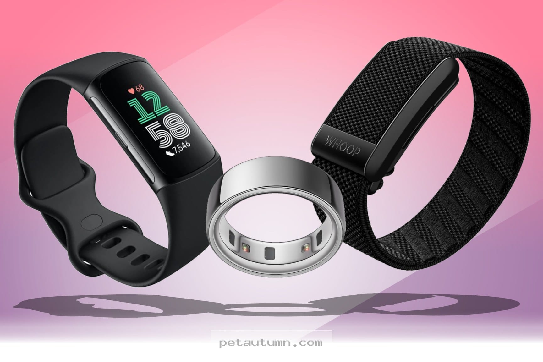 Top 7 Fitness Trackers To Keep Your Miniature Pinscher Active In 2026