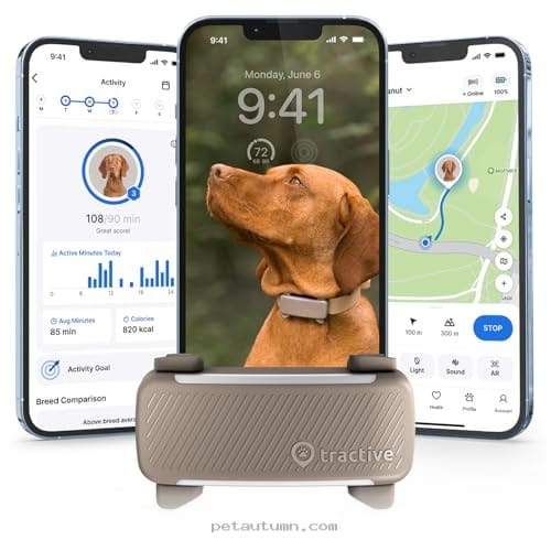 Top 7 Reliable Fitness Monitors to Keep Your Doberman Active in 2026
