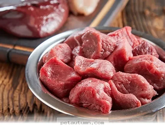 Understanding 2026 Raw Pet Food Guidelines for Your Healthy Dog