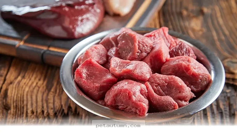 Understanding 2026 Raw Pet Food Guidelines for Your Healthy Dog