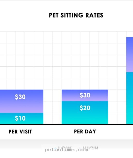What 2026 Dog Sitting Rates Mean for Your Budget and Pet Care Needs