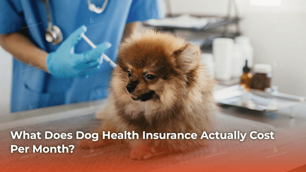 what-does-dog-health-insurance-actually-cost-per-month