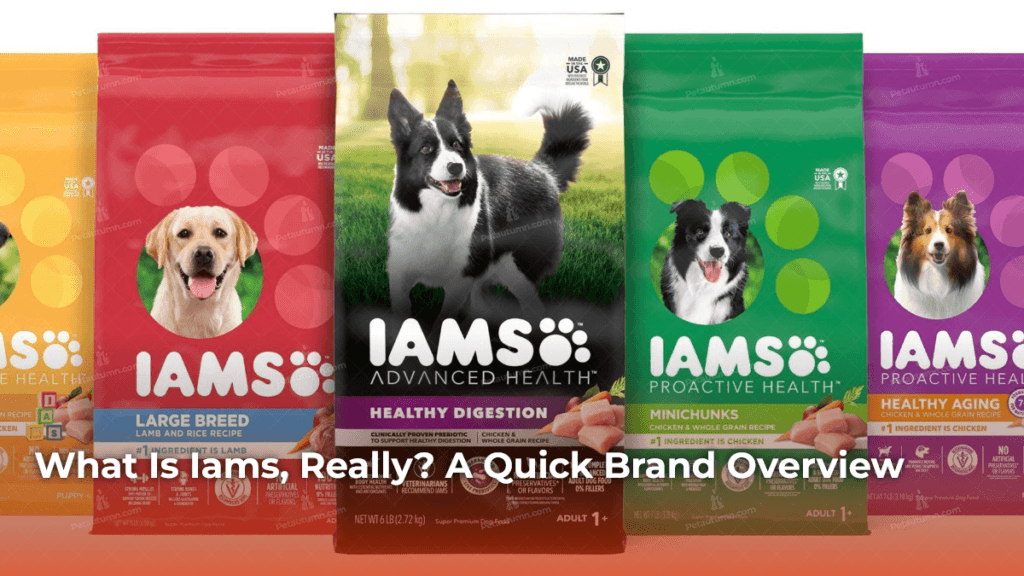 what-is-iams-really-a-quick-brand-overview