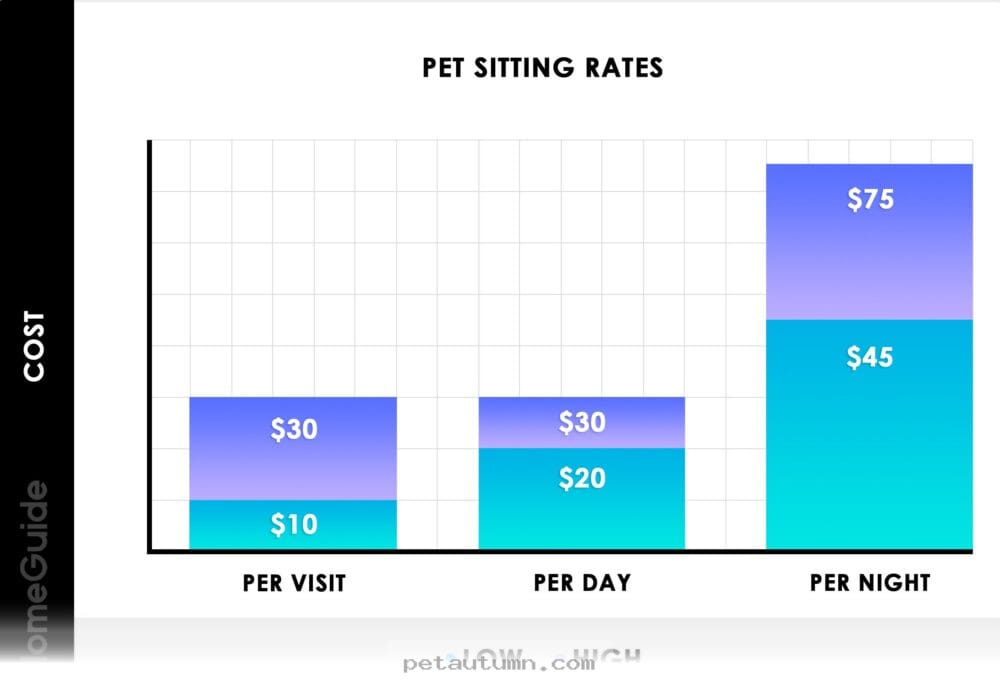 A Guide to 2026 Cat Sitting Rates for Pet Parents in Billings Montana