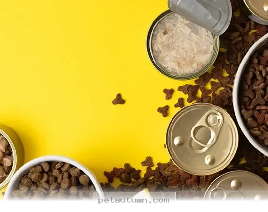 A Helpful Guide to the 8 Common Pet Food Ingredients to Avoid in 2026