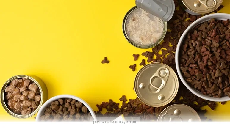 A Helpful Guide to the 8 Common Pet Food Ingredients to Avoid in 2026