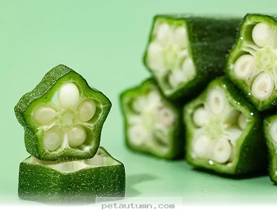 Boost Your Pet's Gut Health With 1 Surprising Veggie Pick in 2026