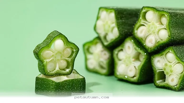 Boost Your Pet's Gut Health With 1 Surprising Veggie Pick in 2026